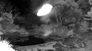 Still 2 from this detection