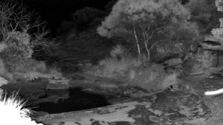 Still 1 from this detection