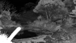 Still 2 from this detection