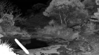 Still 1 from this detection