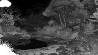Still 2 from this detection