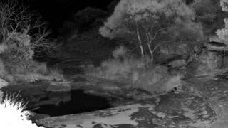 Still 2 from this detection