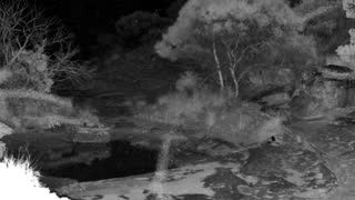 Still 1 from this detection