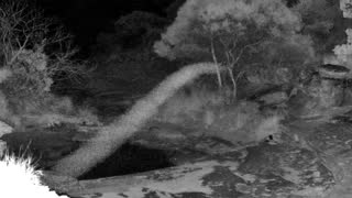 Still 2 from this detection