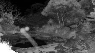 Still 1 from this detection