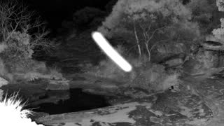 Still 2 from this detection