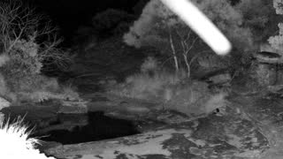 Still 2 from this detection