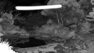 Still 1 from this detection