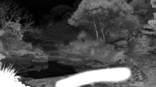 Still 1 from this detection