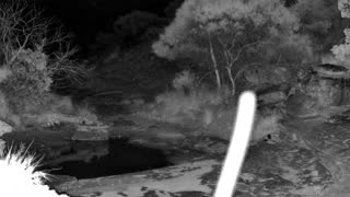 Still 2 from this detection