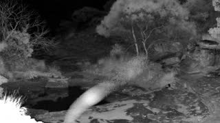 Still 2 from this detection