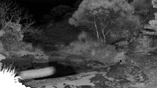 Still 1 from this detection