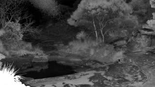 Still 2 from this detection