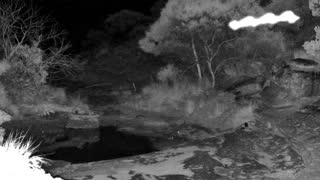 Still 1 from this detection