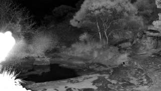 Still 1 from this detection
