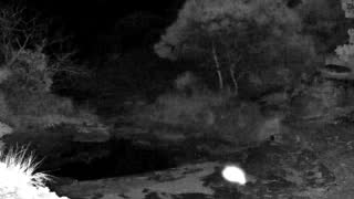 Still 1 from this detection