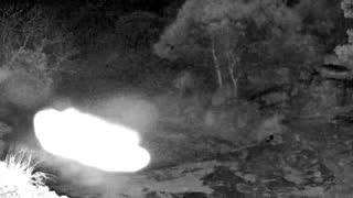 Still 1 from this detection