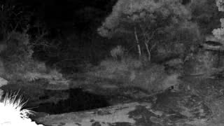 Still 3 from this detection