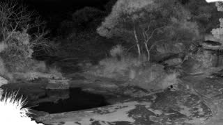 Still 2 from this detection
