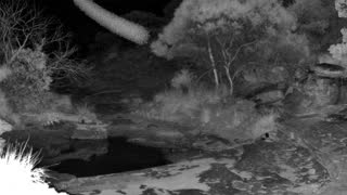 Still 2 from this detection