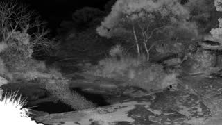 Still 1 from this detection