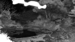 Still 2 from this detection
