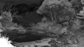 Still 1 from this detection