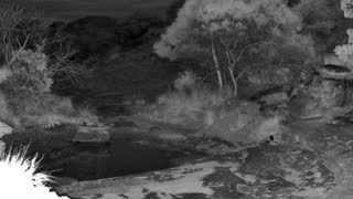 Still 1 from this detection