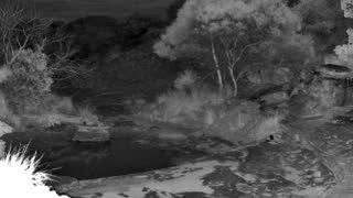 Still 2 from this detection