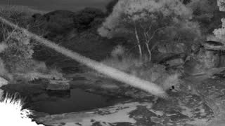 Still 2 from this detection