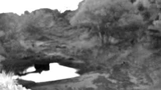 Still 1 from this detection