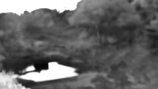 Still 3 from this detection