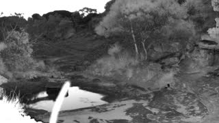 Still 2 from this detection