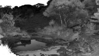 Still 2 from this detection