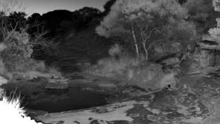 Still 3 from this detection