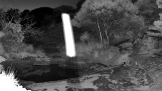 Still 1 from this detection