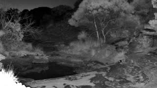 Still 2 from this detection