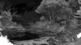 Still 2 from this detection