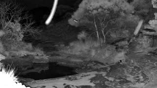 Still 2 from this detection