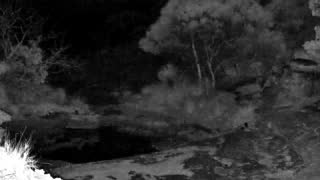 Still 2 from this detection