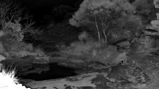 Still 3 from this detection