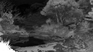 Still 1 from this detection