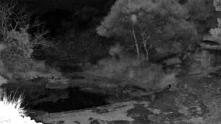 Still 2 from this detection