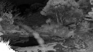 Still 1 from this detection