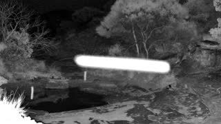 Still 1 from this detection