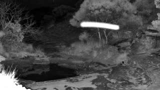 Still 1 from this detection