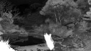 Still 2 from this detection