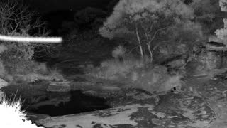 Still 2 from this detection