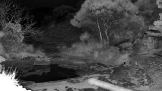 Still 2 from this detection