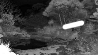 Still 2 from this detection